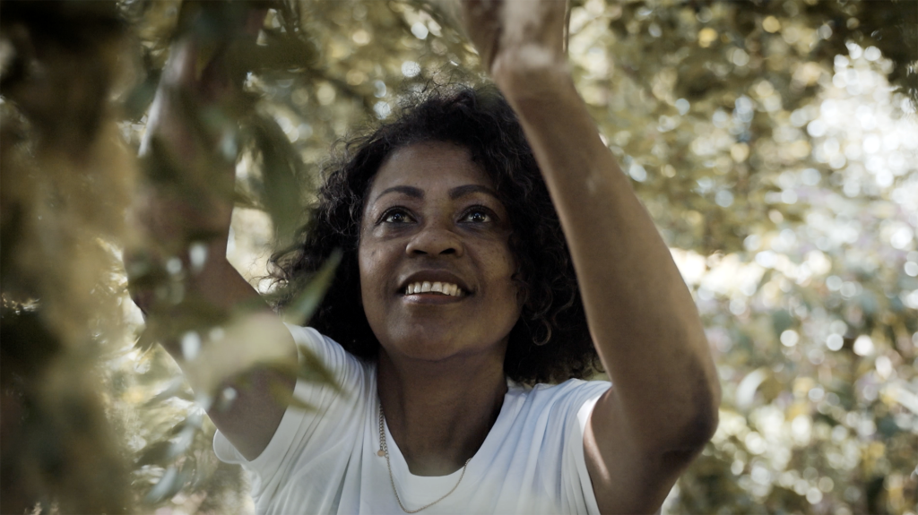 Video zur Markenbildung