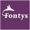 Fontys HRM and Psychology International
